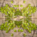 101 Olives - 3-ply